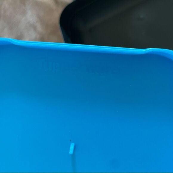 Tupperware Charcoal Large Food/ Sandwich Container with Separator - Picture 5 of 9
